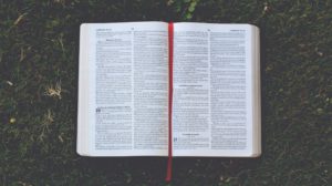 Bibles